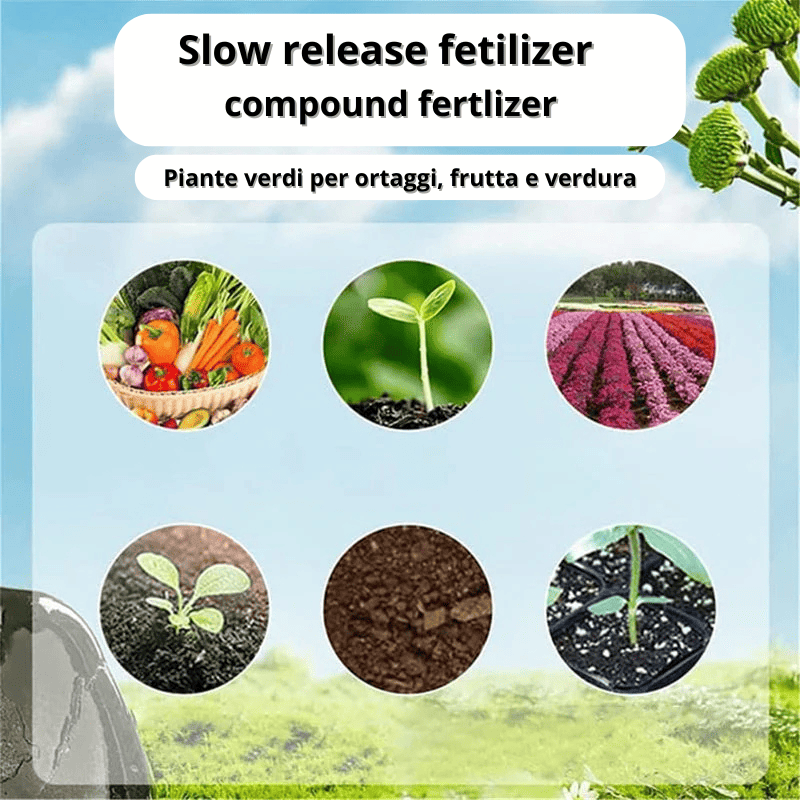 Fertilizzante a Lento Rilascio per Piante