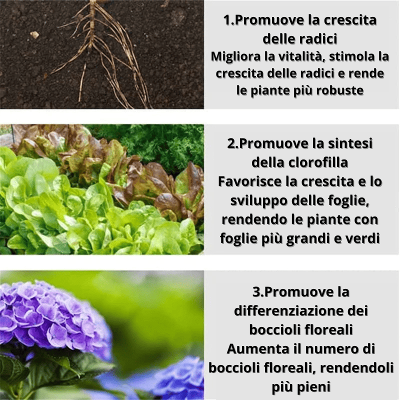 Fertilizzante a Lento Rilascio per Piante